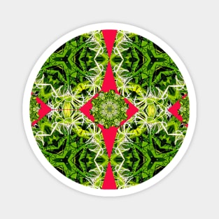 Beautiful Swamp lily flower pattern. Magnet